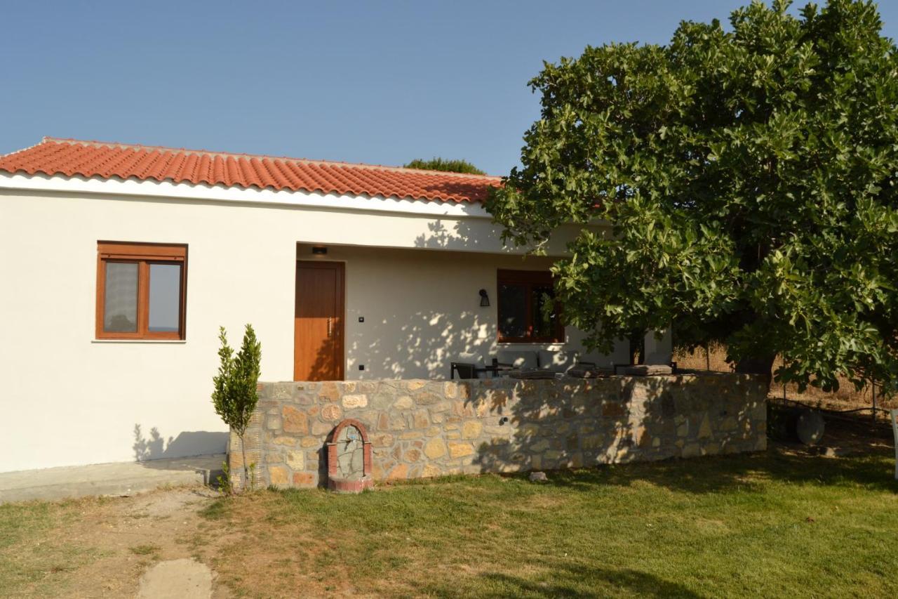 Villa Potamia Samothraki